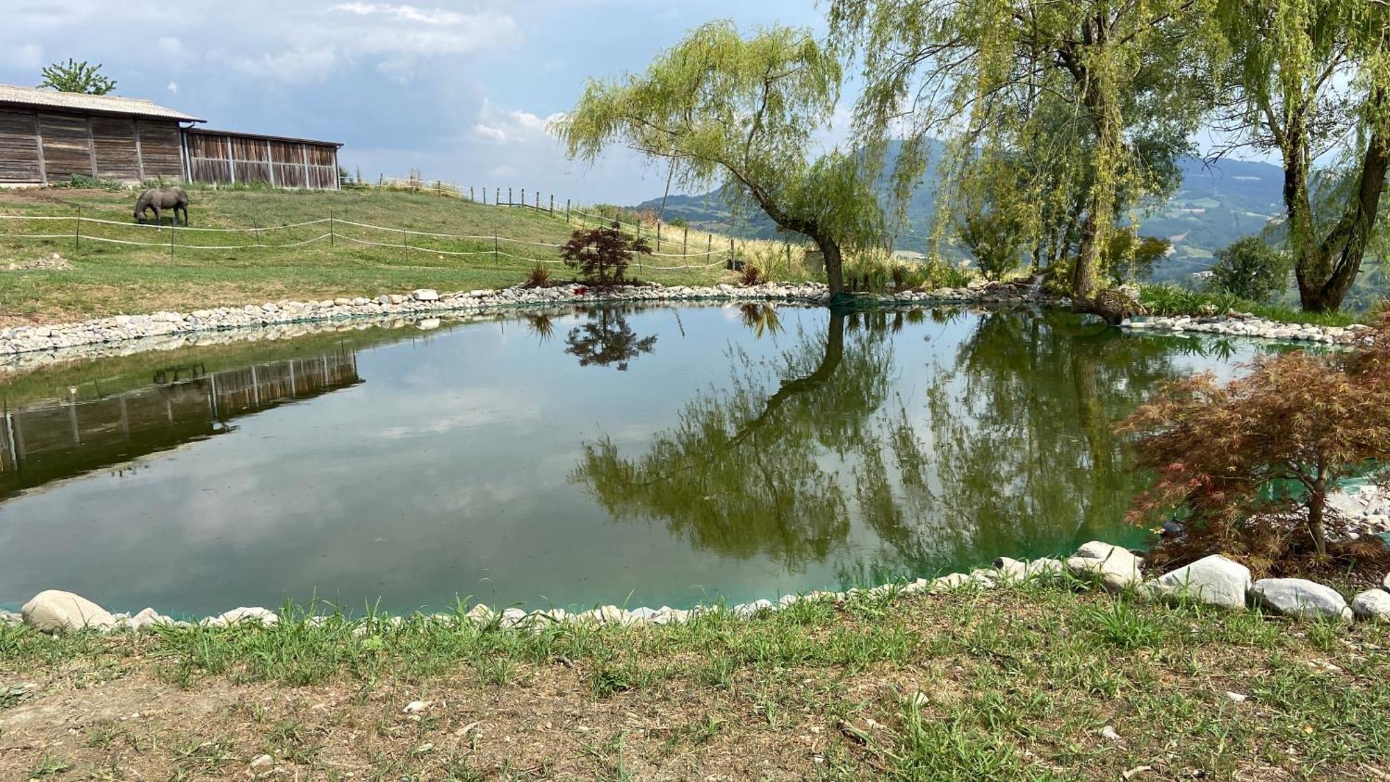 Agriturismo Cergallina Vernasca Exterior photo