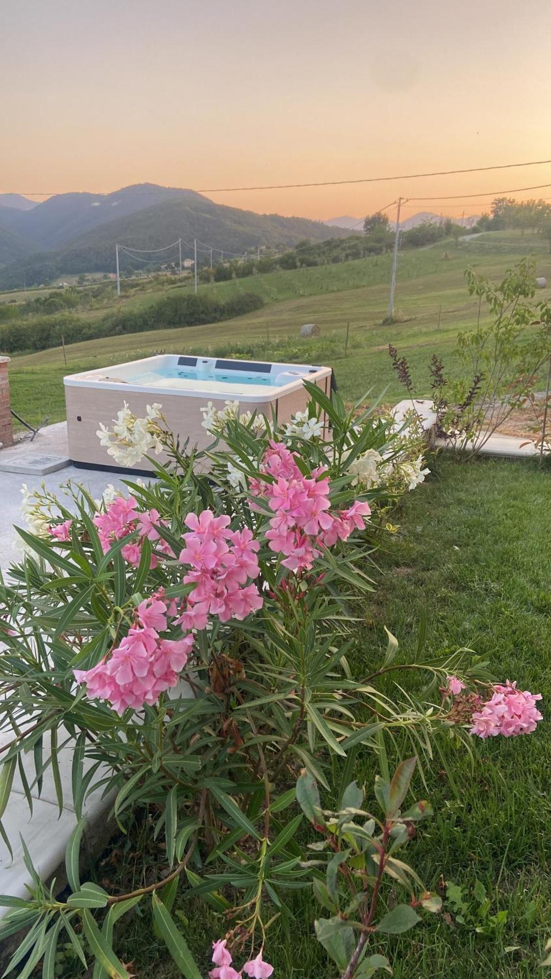 Agriturismo Cergallina Vernasca Exterior photo